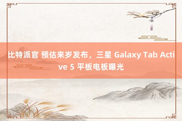比特派官 预估来岁发布，三星 Galaxy Tab Active 5 平板电板曝光