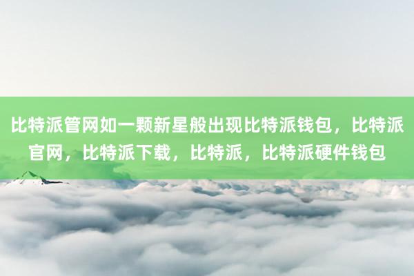 比特派管网如一颗新星般出现比特派钱包，比特派官网，比特派下载，比特派，比特派硬件钱包