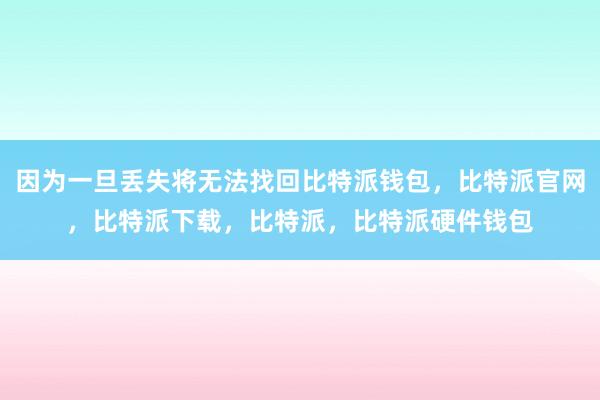 因为一旦丢失将无法找回比特派钱包，比特派官网，比特派下载，比特派，比特派硬件钱包