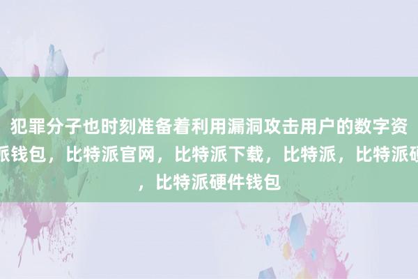 犯罪分子也时刻准备着利用漏洞攻击用户的数字资产比特派钱包，比特派官网，比特派下载，比特派，比特派硬件钱包