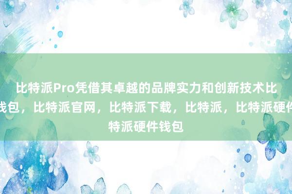 比特派Pro凭借其卓越的品牌实力和创新技术比特派钱包，比特派官网，比特派下载，比特派，比特派硬件钱包