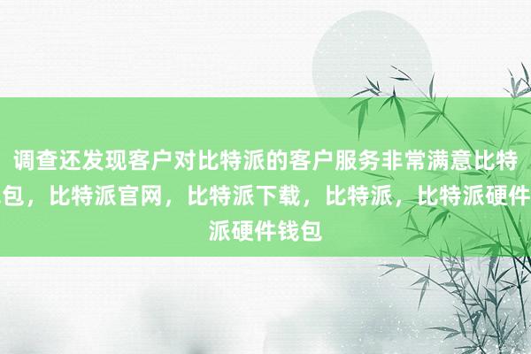 调查还发现客户对比特派的客户服务非常满意比特派钱包，比特派官网，比特派下载，比特派，比特派硬件钱包