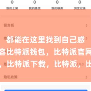 都能在这里找到自己感兴趣的内容比特派钱包，比特派官网，比特派下载，比特派，比特派硬件钱包