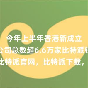 今年上半年香港新成立的本地公司总数超6.6万家比特派钱包，比特派官网，比特派下载，比特派，比特派硬件钱包