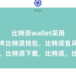 比特派wallet采用多重加密技术比特派钱包，比特派官网，比特派下载，比特派，比特派硬件钱包