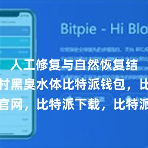 人工修复与自然恢复结合治理农村黑臭水体比特派钱包，比特派官网，比特派下载，比特派，比特派硬件钱包