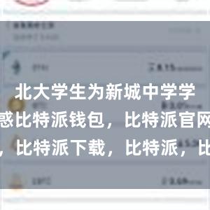 北大学生为新城中学学生解疑释惑比特派钱包，比特派官网，比特派下载，比特派，比特派硬件钱包