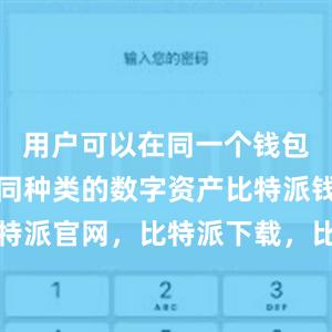 用户可以在同一个钱包中管理不同种类的数字资产比特派钱包，比特派官网，比特派下载，比特派，比特派硬件钱包